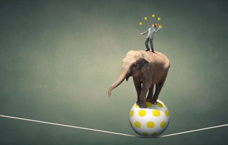 tight rope ball elephant man juggling agility.jpeg